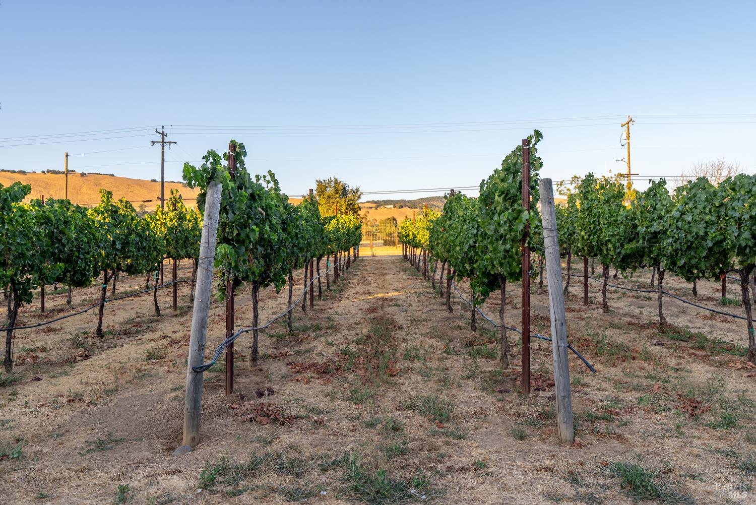 Detail Gallery Image 42 of 51 For 2143 Buena Vista Ave, Gilroy,  CA 95020 - – Beds | – Baths