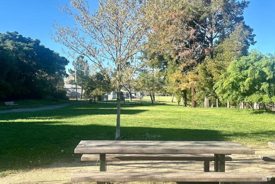 Detail Gallery Image 41 of 44 For 34 Diane Ln, Larkspur,  CA 94939 - 4 Beds | 3 Baths