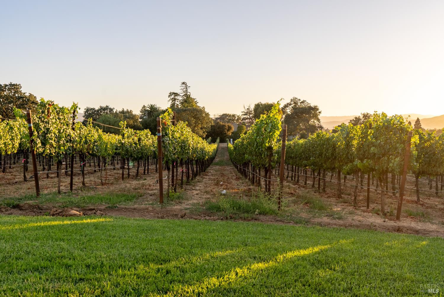 Detail Gallery Image 34 of 49 For 2143 Buena Vista Ave, Gilroy,  CA 95020 - 0 Beds | 0/1 Baths