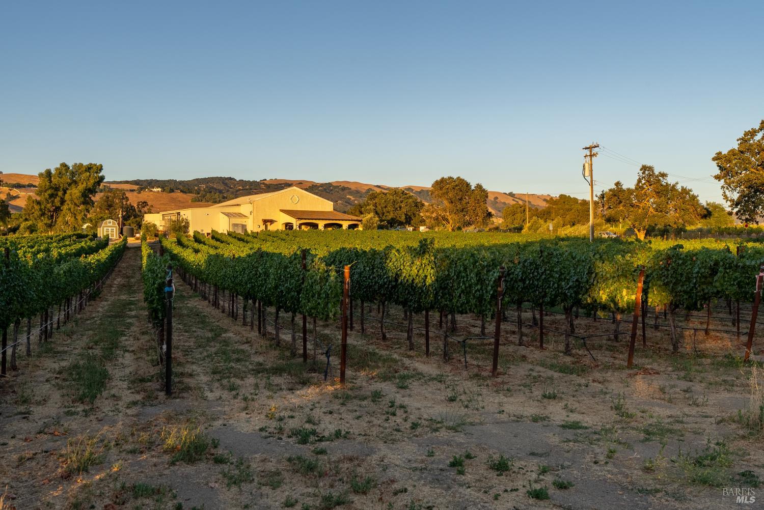 Detail Gallery Image 37 of 49 For 2143 Buena Vista Ave, Gilroy,  CA 95020 - 0 Beds | 0/1 Baths