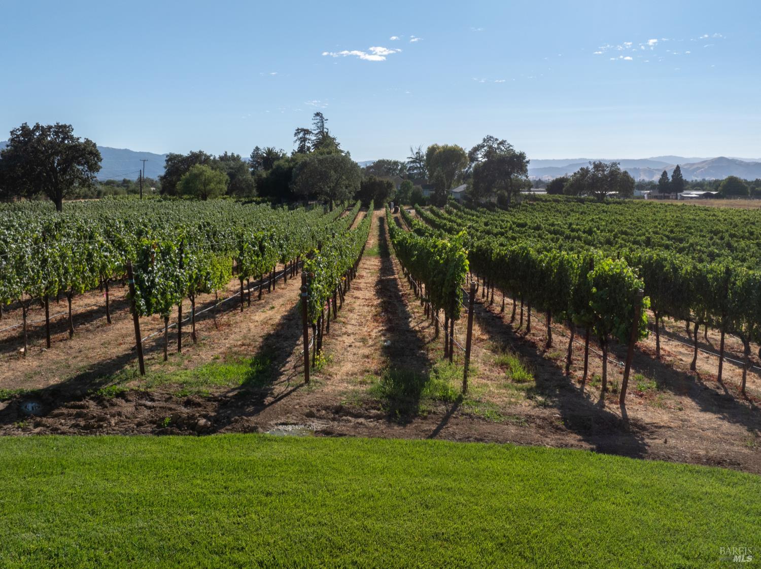 Detail Gallery Image 10 of 49 For 2143 Buena Vista Ave, Gilroy,  CA 95020 - 0 Beds | 0/1 Baths