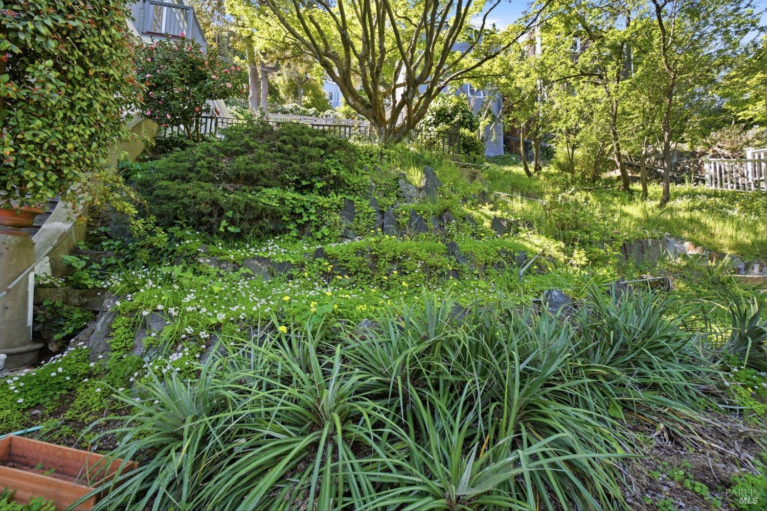 Detail Gallery Image 73 of 98 For 172 Bella Vista Ave a,  Belvedere,  CA 94920 - 4 Beds | 4/1 Baths