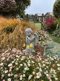 Detail Gallery Image 86 of 89 For 43700 Mountain View Rd, Manchester,  CA 95459 - 3 Beds | 2 Baths