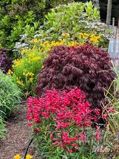 Detail Gallery Image 54 of 89 For 43700 Mountain View Rd, Manchester,  CA 95459 - 3 Beds | 2 Baths