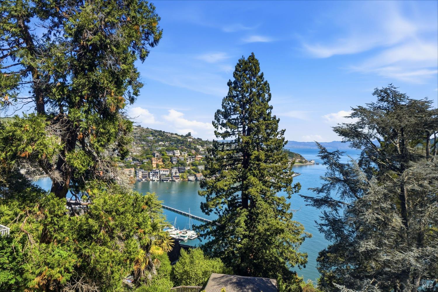 Detail Gallery Image 61 of 98 For 172 Bella Vista Ave a,  Belvedere,  CA 94920 - 4 Beds | 4/1 Baths