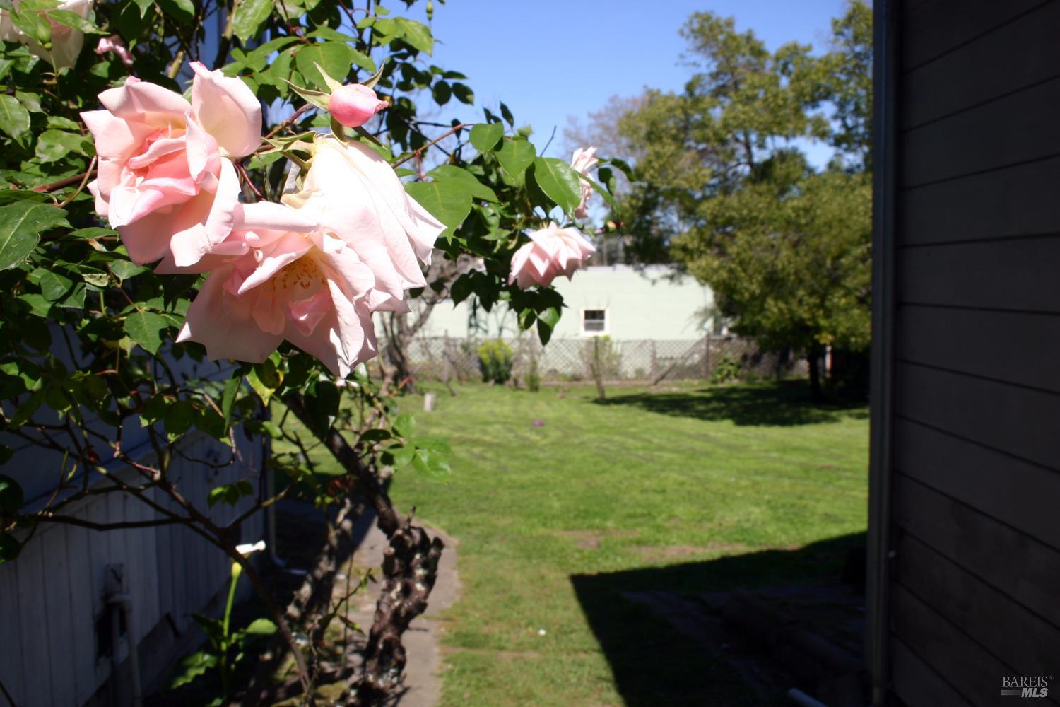 Detail Gallery Image 22 of 27 For 518 Galland St, Petaluma,  CA 94952 - 5 Beds | 2 Baths