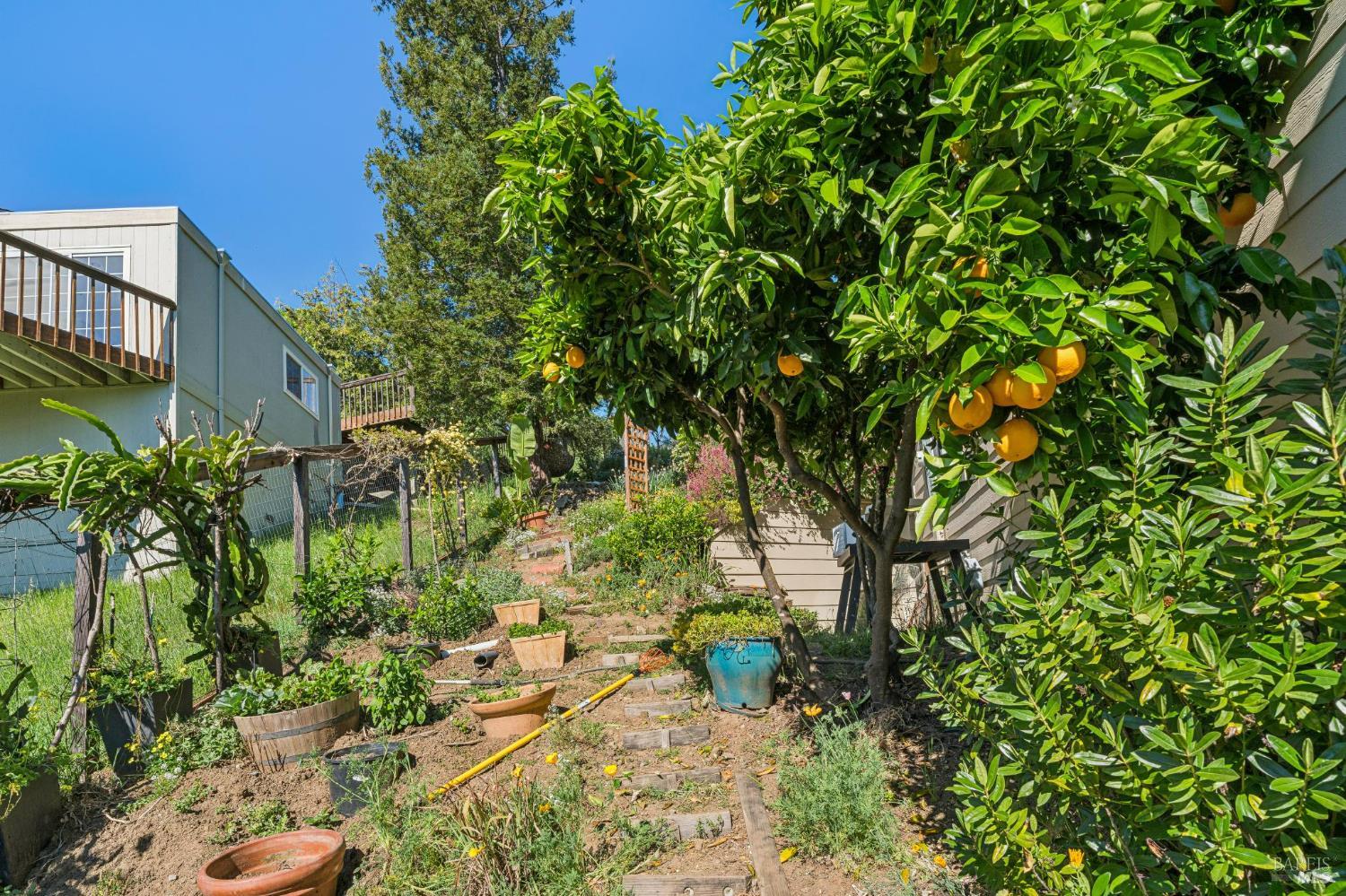 Detail Gallery Image 60 of 63 For 10 Elkhorn Way, San Anselmo,  CA 94960 - 4 Beds | 3 Baths