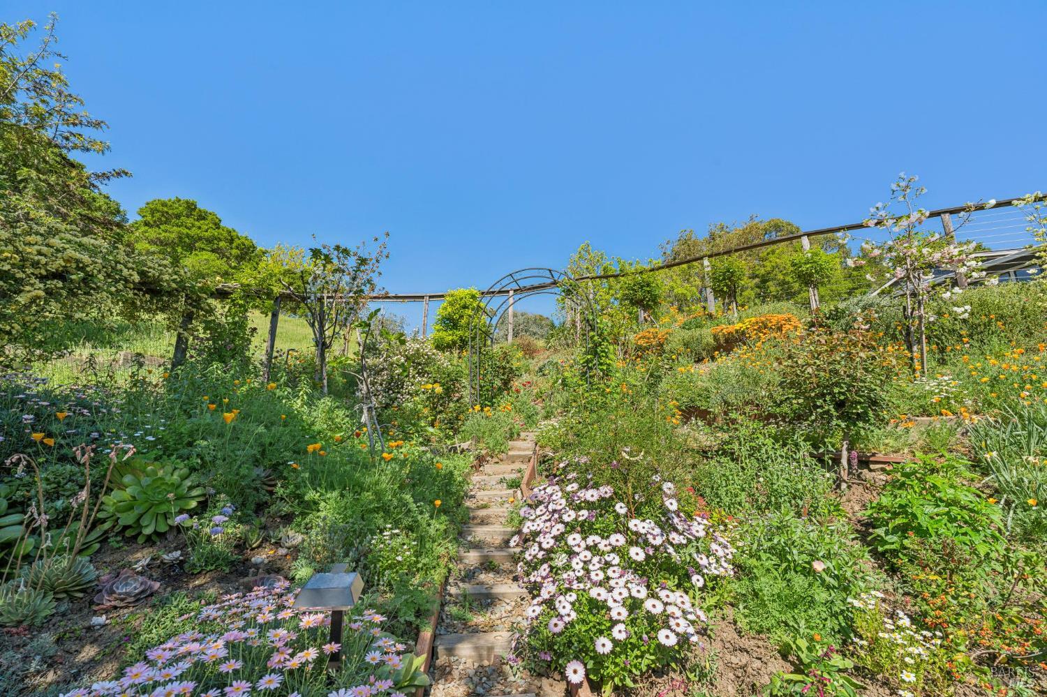 Detail Gallery Image 56 of 63 For 10 Elkhorn Way, San Anselmo,  CA 94960 - 4 Beds | 3 Baths