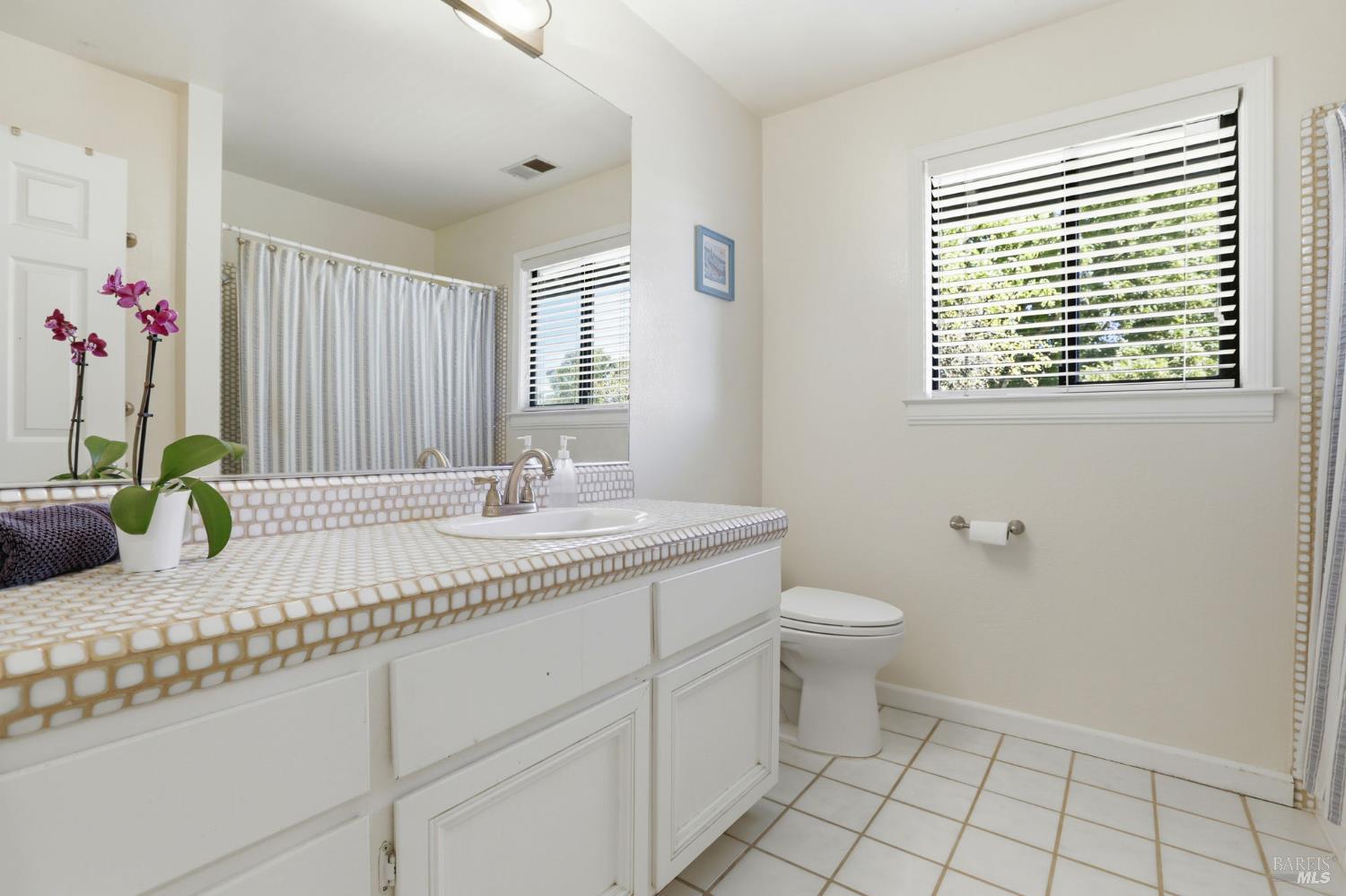 Detail Gallery Image 37 of 44 For 85 San Domingo Way, Novato,  CA 94945 - 4 Beds | 2/1 Baths