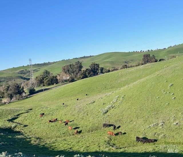 Detail Gallery Image 12 of 12 For 2 Lake Herman Rd, Benicia,  CA 94510 - – Beds | – Baths