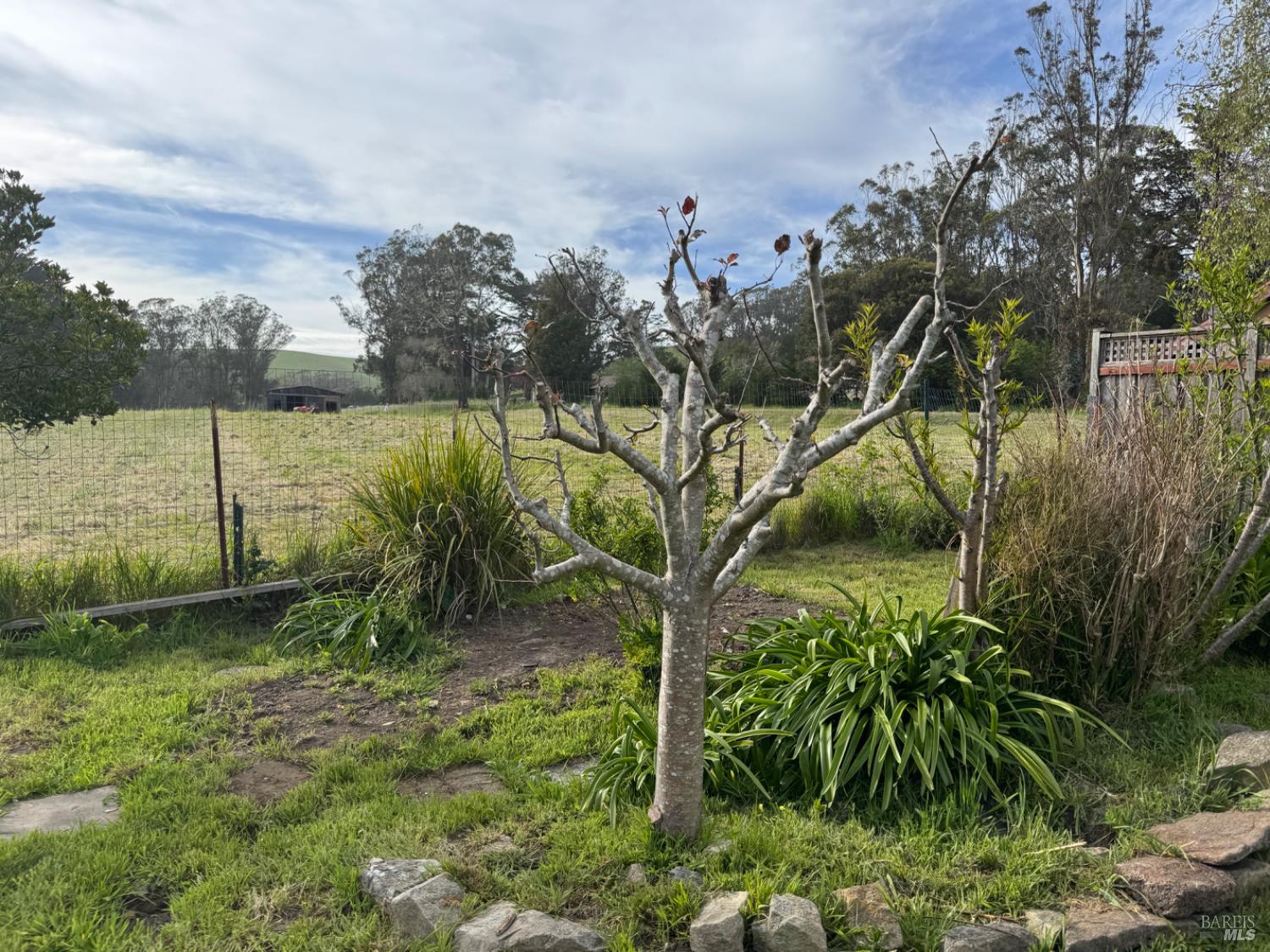 Detail Gallery Image 57 of 58 For 39 Carrie St, Tomales,  CA 94971 - 4 Beds | 2/1 Baths