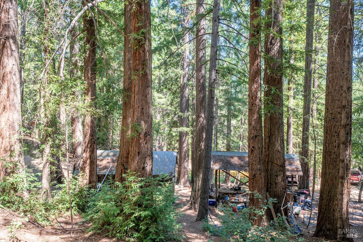 Detail Gallery Image 62 of 63 For 30401 Hwy 128 Hwy, Yorkville,  CA 95494 - – Beds | – Baths