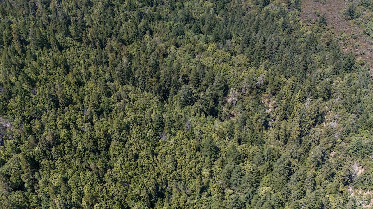 Detail Gallery Image 25 of 63 For 30401 Hwy 128 Hwy, Yorkville,  CA 95494 - – Beds | – Baths