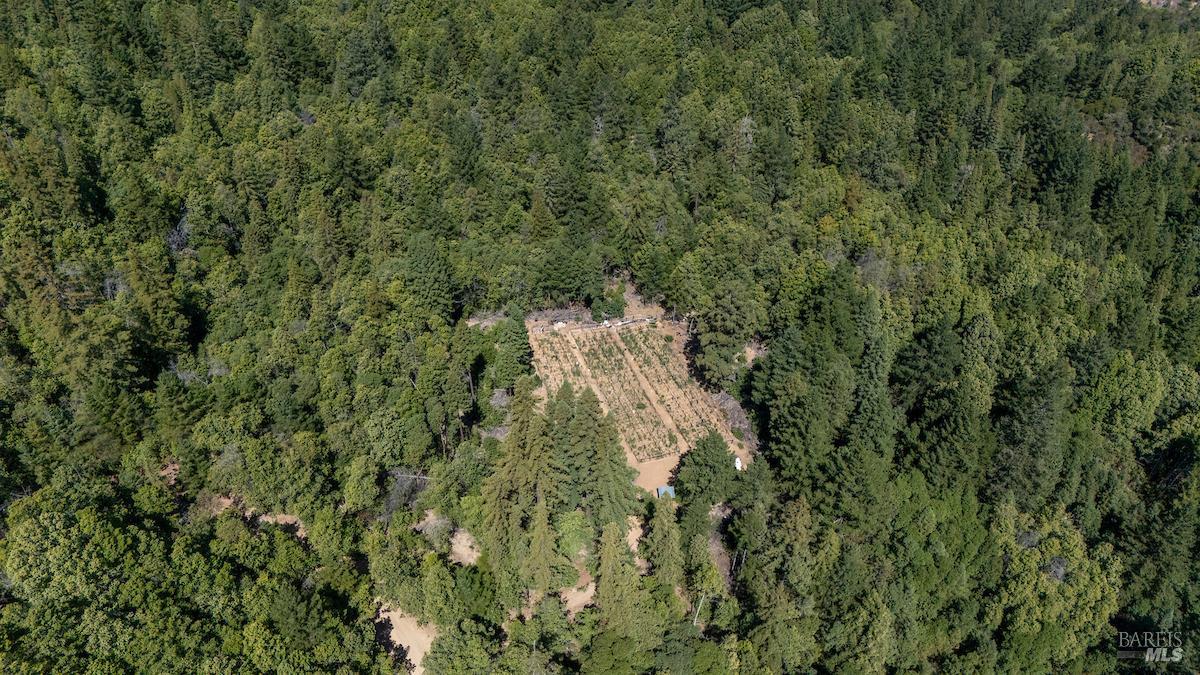 Detail Gallery Image 19 of 63 For 30401 Hwy 128 Hwy, Yorkville,  CA 95494 - – Beds | – Baths