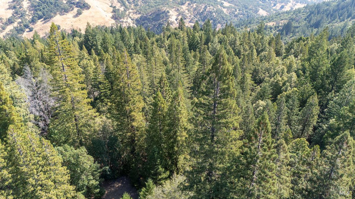 Detail Gallery Image 2 of 63 For 30401 Hwy 128 Hwy, Yorkville,  CA 95494 - – Beds | – Baths