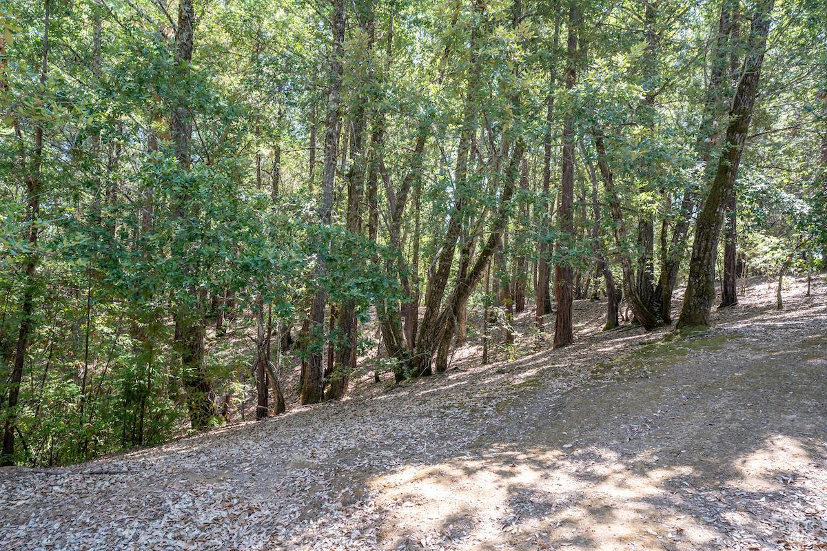 Detail Gallery Image 41 of 63 For 30401 Hwy 128 Hwy, Yorkville,  CA 95494 - – Beds | – Baths