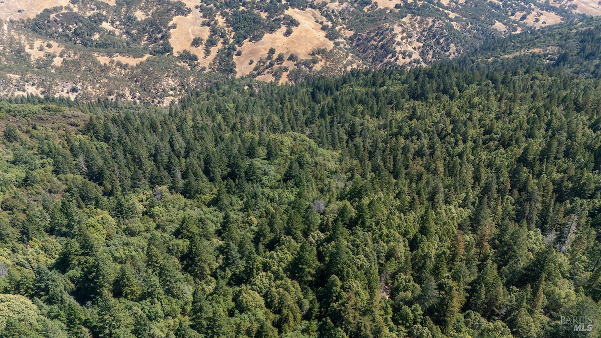 Detail Gallery Image 20 of 63 For 30401 Hwy 128 Hwy, Yorkville,  CA 95494 - – Beds | – Baths