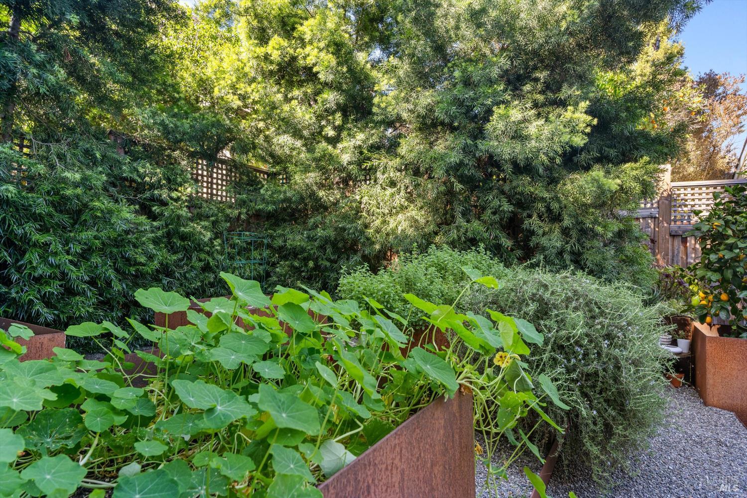 Detail Gallery Image 27 of 38 For 346 Piper St, Healdsburg,  CA 95448 - 2 Beds | 1/1 Baths