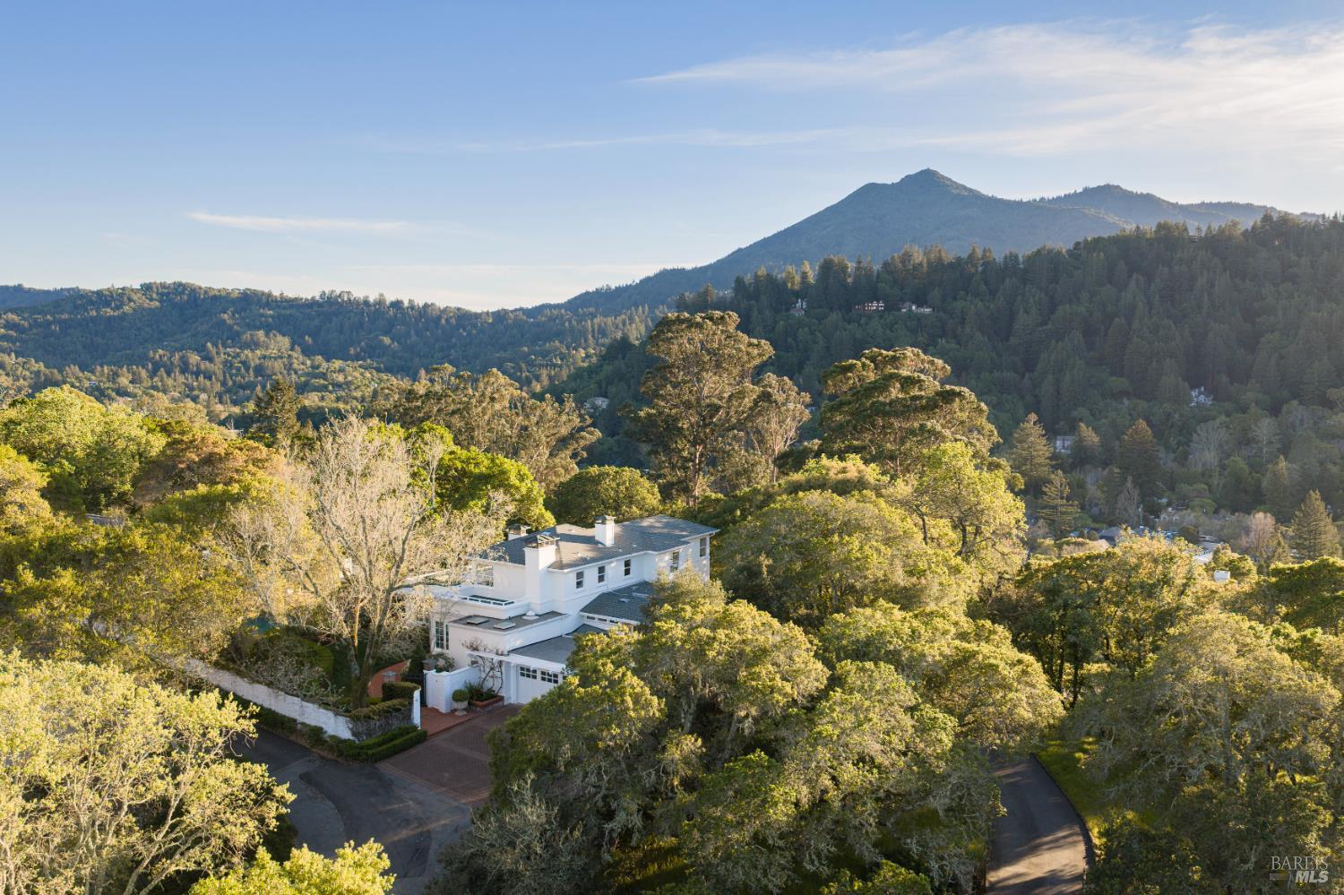 Detail Gallery Image 55 of 59 For 14 Skyland Way, Ross,  CA 94957 - 5 Beds | 4/1 Baths