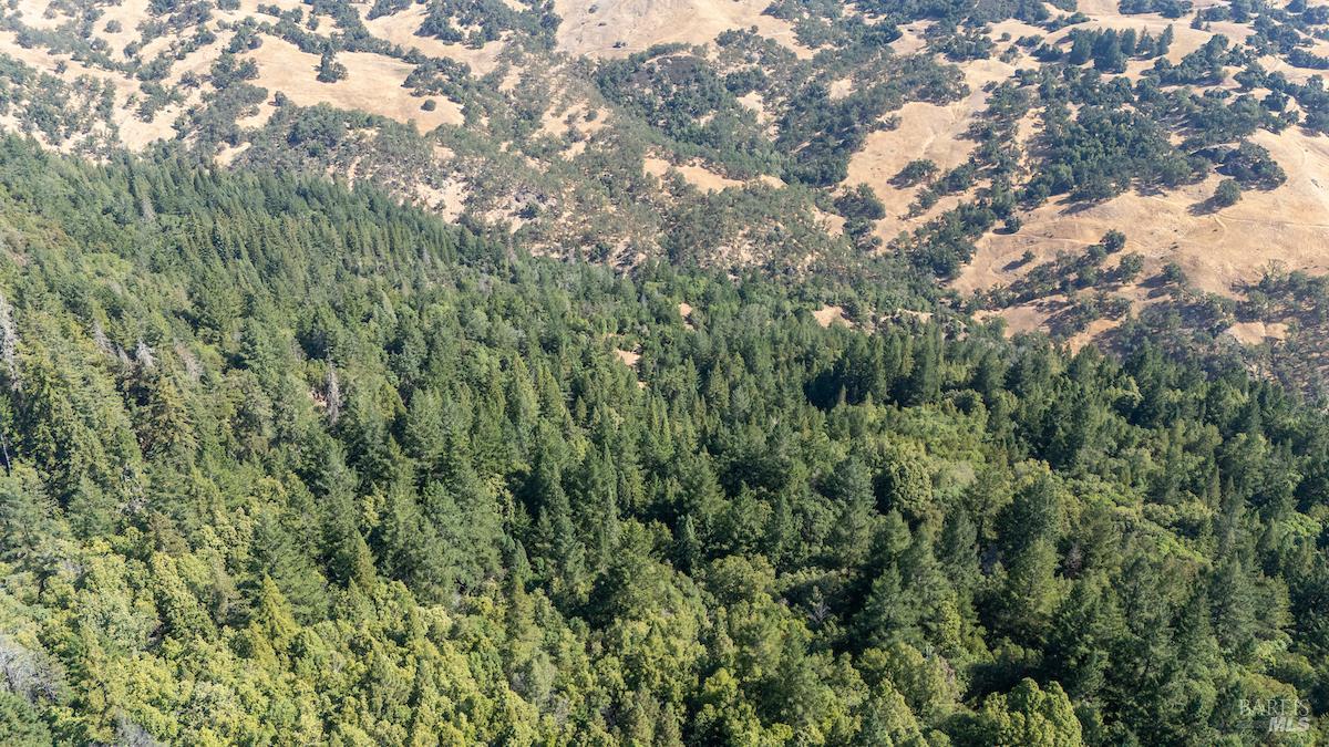 Detail Gallery Image 6 of 63 For 30401 Hwy 128 Hwy, Yorkville,  CA 95494 - – Beds | – Baths