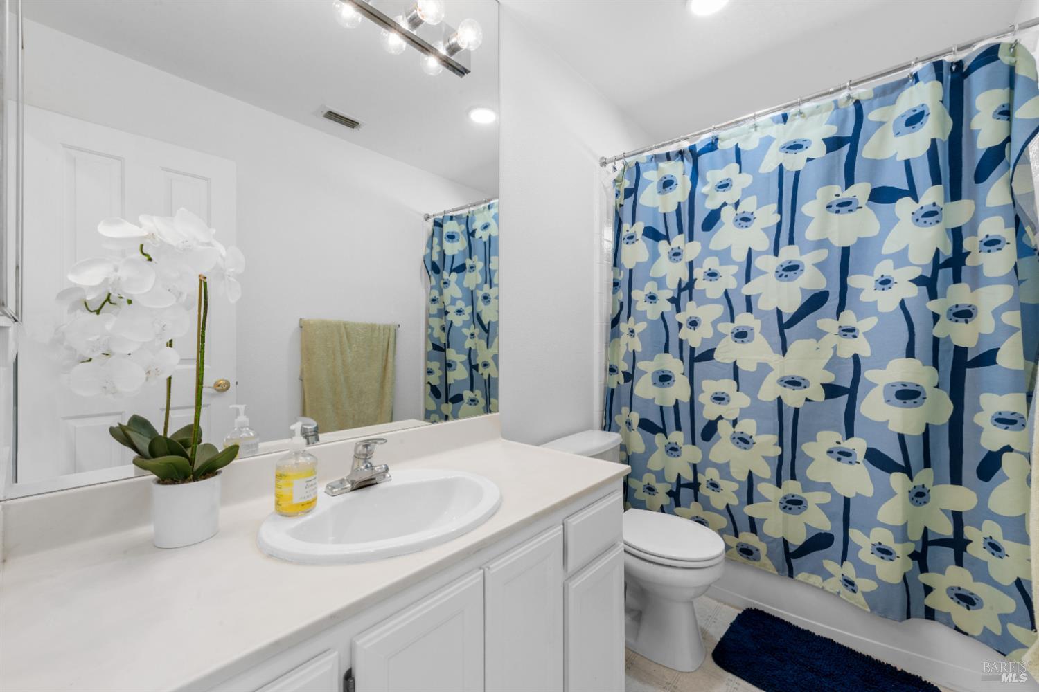 Detail Gallery Image 17 of 24 For 1028 Addison Cir, Petaluma,  CA 94952 - 3 Beds | 2/1 Baths