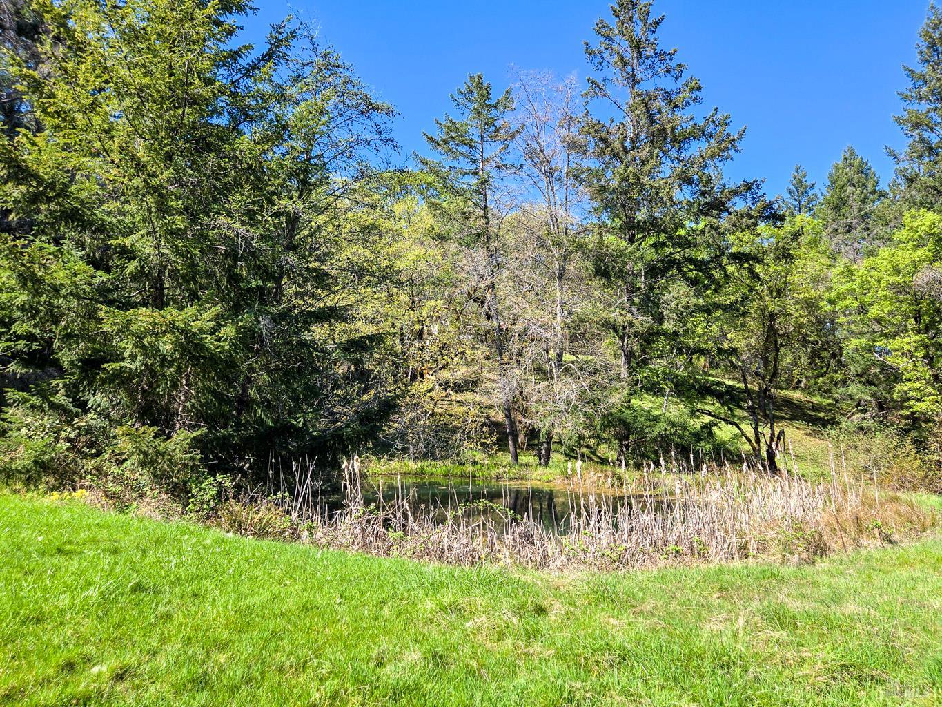 Detail Gallery Image 7 of 16 For 28201 Sherwood Rd, Willits,  CA 95490 - 2 Beds | 1 Baths