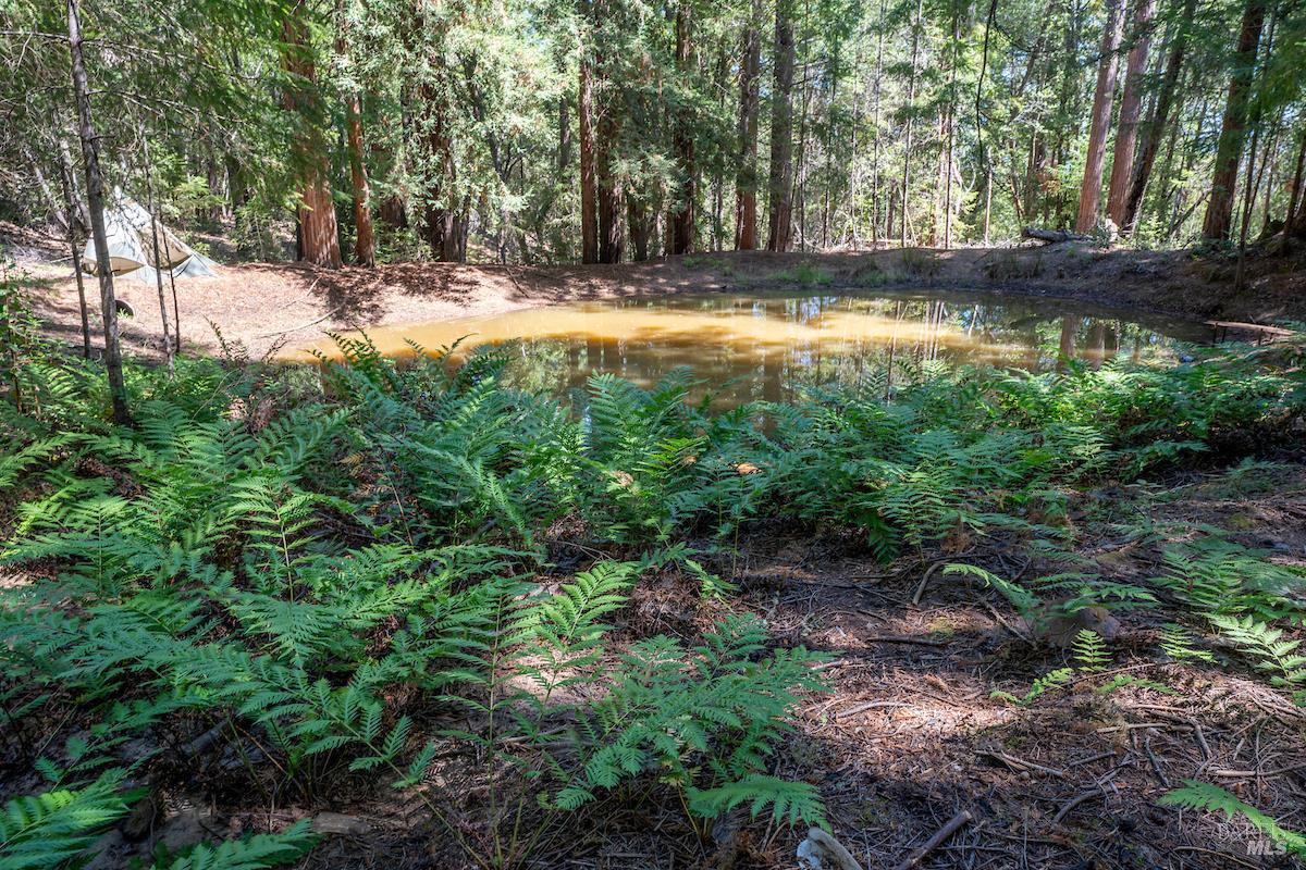 Detail Gallery Image 52 of 63 For 30401 Hwy 128 Hwy, Yorkville,  CA 95494 - – Beds | – Baths