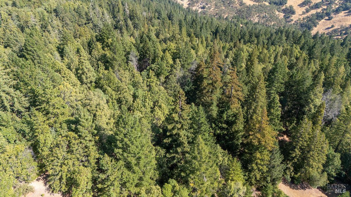 Detail Gallery Image 5 of 63 For 30401 Hwy 128 Hwy, Yorkville,  CA 95494 - – Beds | – Baths