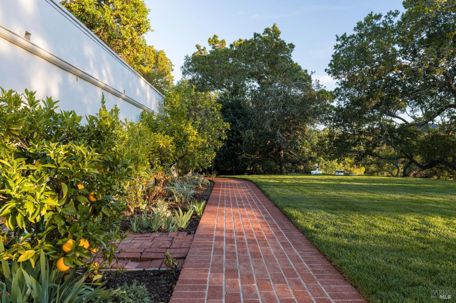 Detail Gallery Image 50 of 59 For 14 Skyland Way, Ross,  CA 94957 - 5 Beds | 4/1 Baths