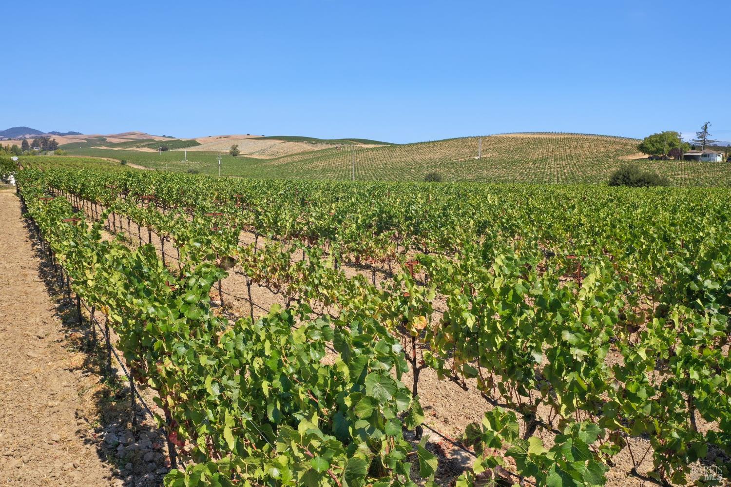 Detail Gallery Image 3 of 24 For 5267 Old Sonoma Rd, Napa,  CA 94559 - – Beds | – Baths