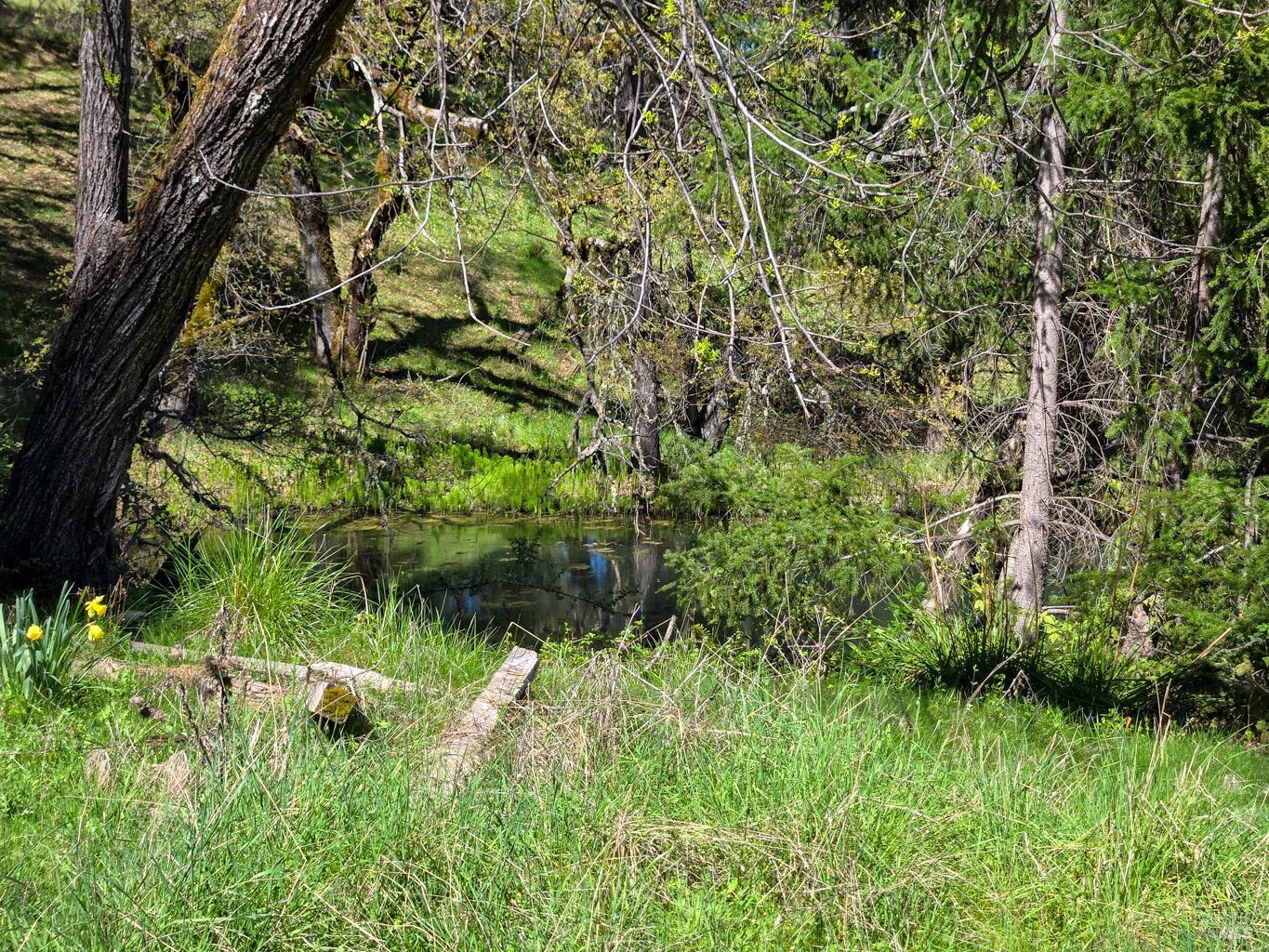 Detail Gallery Image 5 of 16 For 28201 Sherwood Rd, Willits,  CA 95490 - 2 Beds | 1 Baths