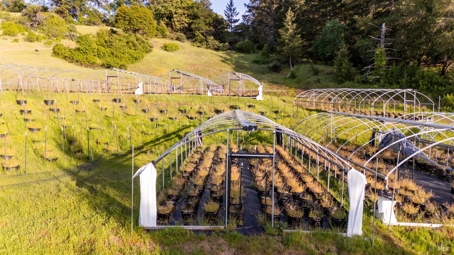 Detail Gallery Image 37 of 43 For 8000 Simmerly Ranch Rd, Laytonville,  CA 95454 - 1 Beds | 1 Baths