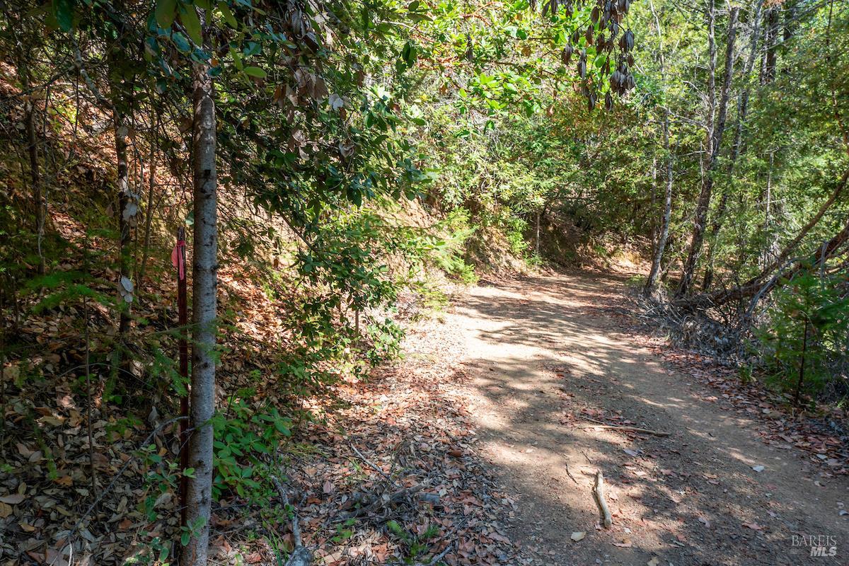 Detail Gallery Image 36 of 63 For 30401 Hwy 128 Hwy, Yorkville,  CA 95494 - – Beds | – Baths