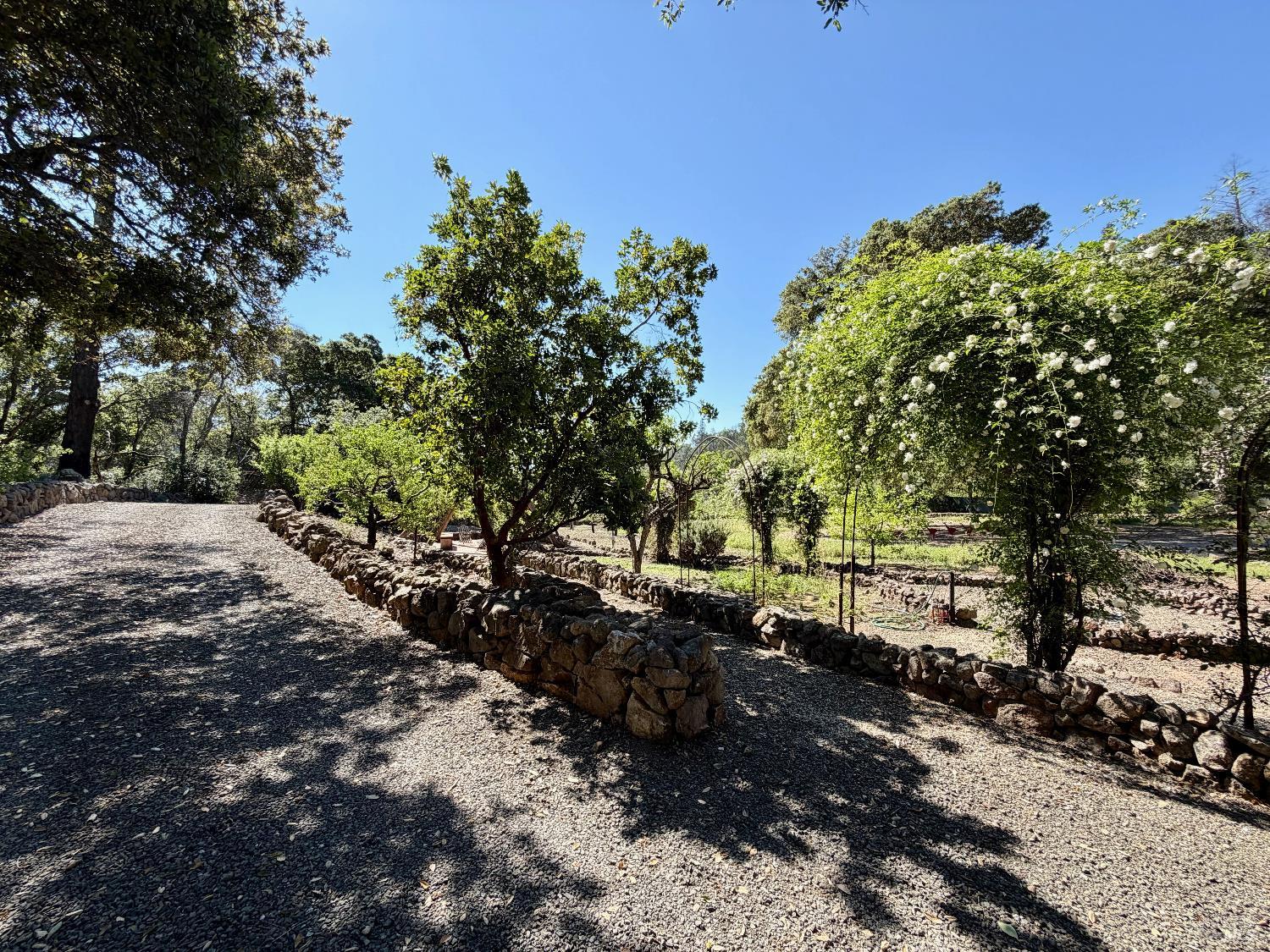 Detail Gallery Image 37 of 50 For 321 Dutch Henry Canyon Rd, Calistoga,  CA 94515 - 3 Beds | 3 Baths