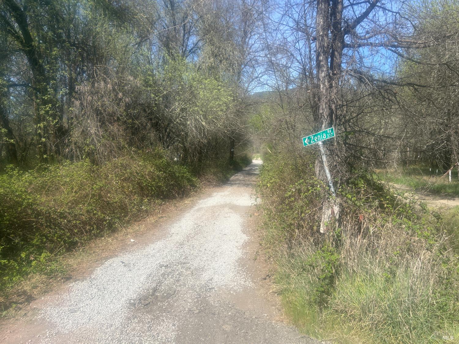 Detail Gallery Image 14 of 14 For 0 Zenia Rd, Covelo,  CA 95428 - – Beds | – Baths