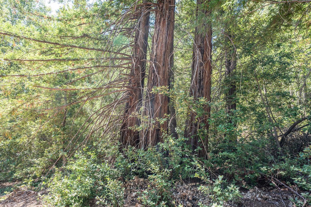 Detail Gallery Image 48 of 63 For 30401 Hwy 128 Hwy, Yorkville,  CA 95494 - – Beds | – Baths