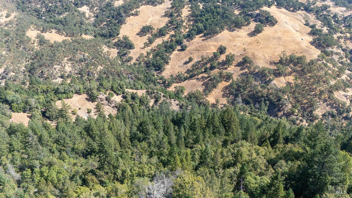 Detail Gallery Image 11 of 63 For 30401 Hwy 128 Hwy, Yorkville,  CA 95494 - – Beds | – Baths