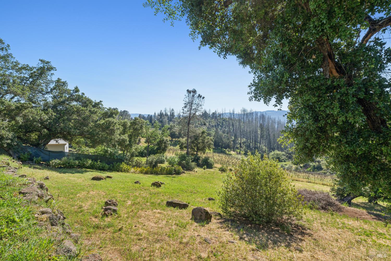 Detail Gallery Image 37 of 57 For 1044 Deer Park Rd, Deer Park,  CA 94576 - 3 Beds | 2/1 Baths