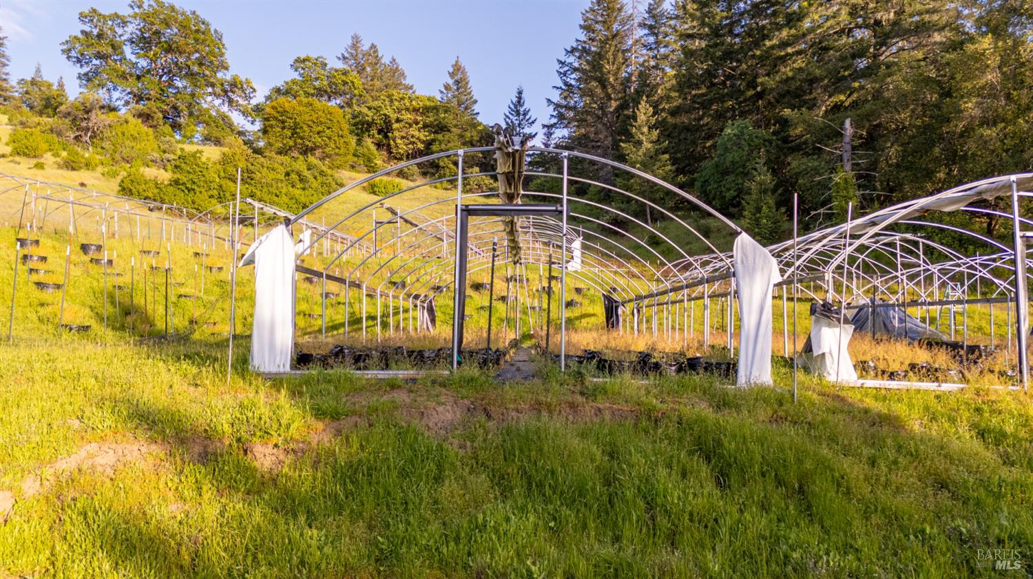 Detail Gallery Image 36 of 43 For 8000 Simmerly Ranch Rd, Laytonville,  CA 95454 - 1 Beds | 1 Baths