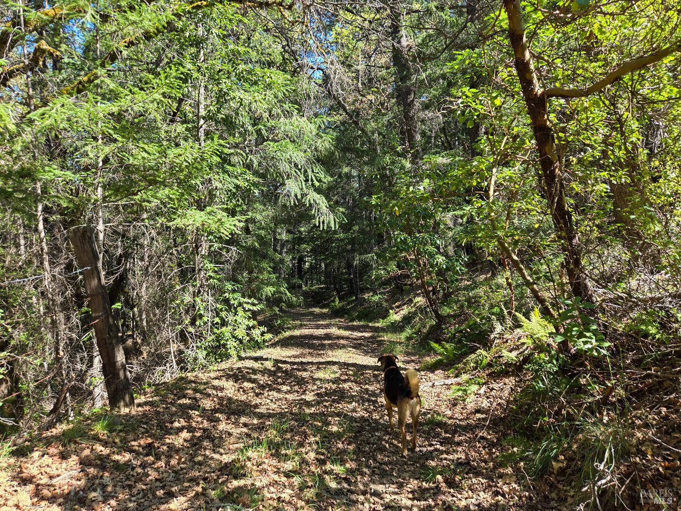 Detail Gallery Image 12 of 16 For 28201 Sherwood Rd, Willits,  CA 95490 - 2 Beds | 1 Baths