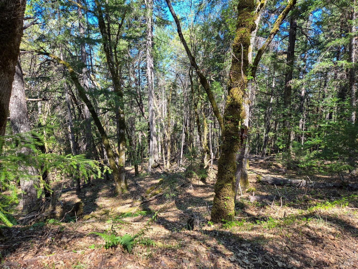 Detail Gallery Image 13 of 16 For 28201 Sherwood Rd, Willits,  CA 95490 - 2 Beds | 1 Baths