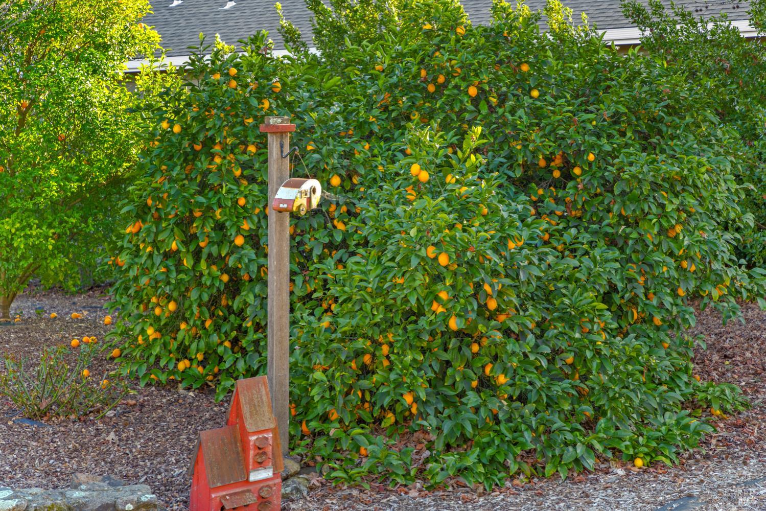 Detail Gallery Image 38 of 47 For 1245 Castle Rd, Sonoma,  CA 95476 - 2 Beds | 4/1 Baths