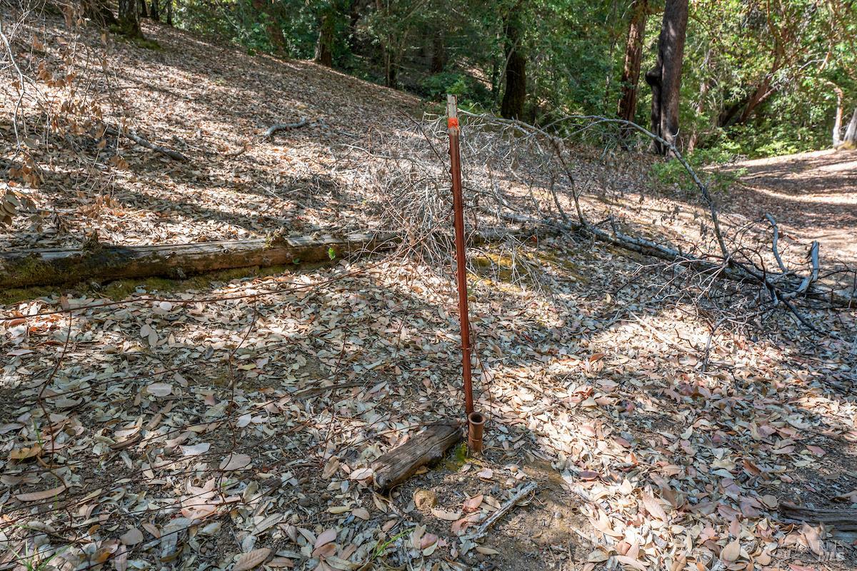 Detail Gallery Image 40 of 63 For 30401 Hwy 128 Hwy, Yorkville,  CA 95494 - – Beds | – Baths