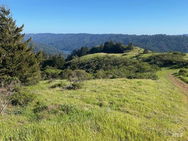 Detail Gallery Image 14 of 43 For 1 Alamo Way, Lagunitas,  CA 94938 - 2 Beds | 2 Baths