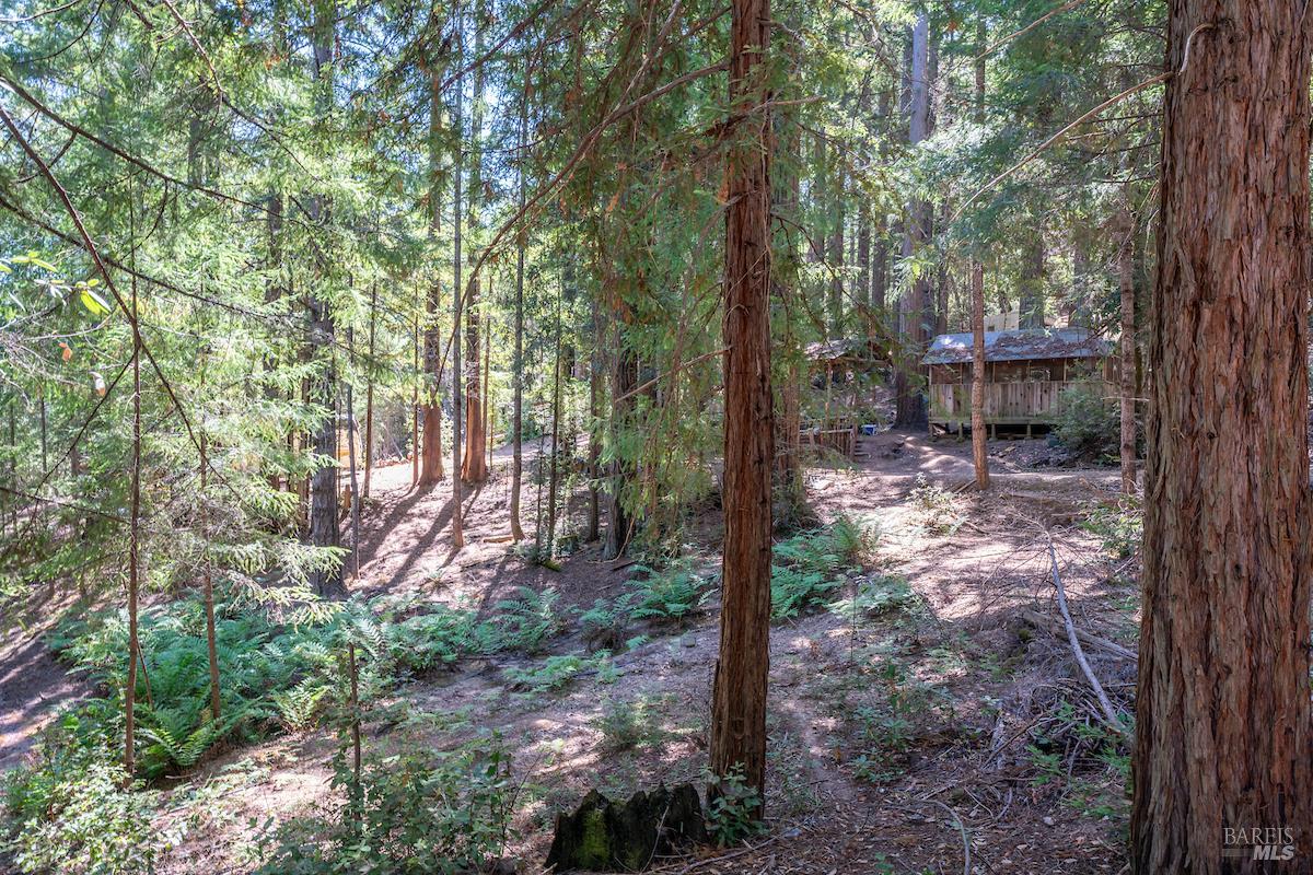 Detail Gallery Image 60 of 63 For 30401 Hwy 128 Hwy, Yorkville,  CA 95494 - – Beds | – Baths