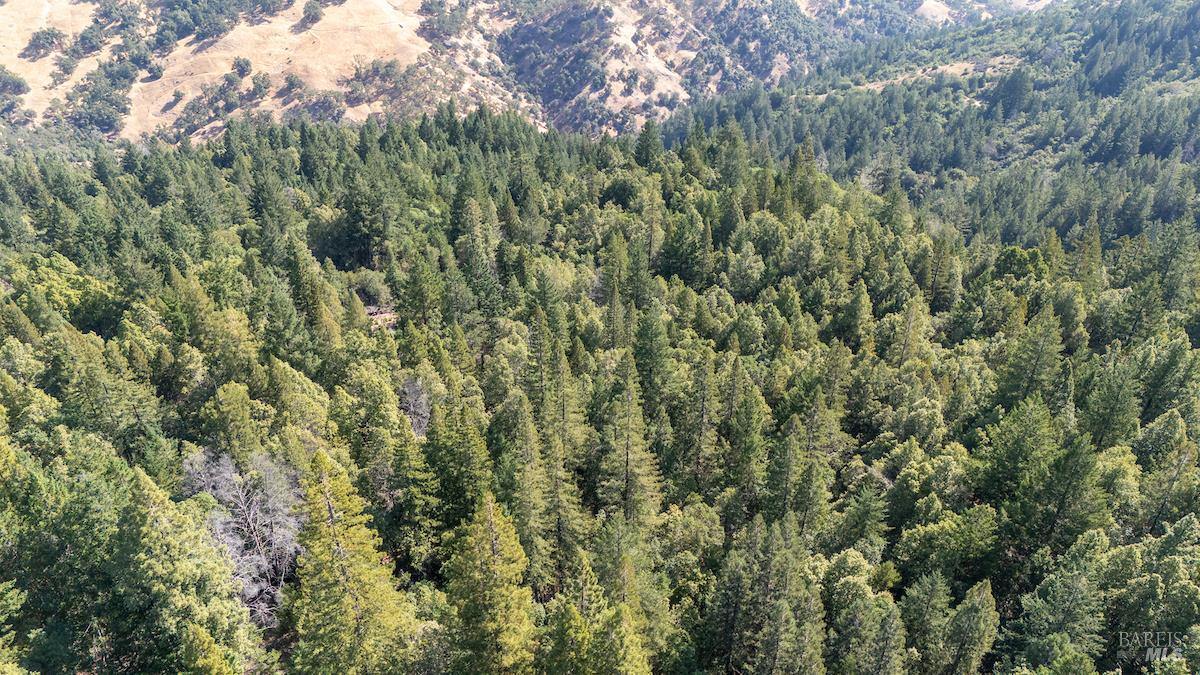 Detail Gallery Image 3 of 63 For 30401 Hwy 128 Hwy, Yorkville,  CA 95494 - – Beds | – Baths