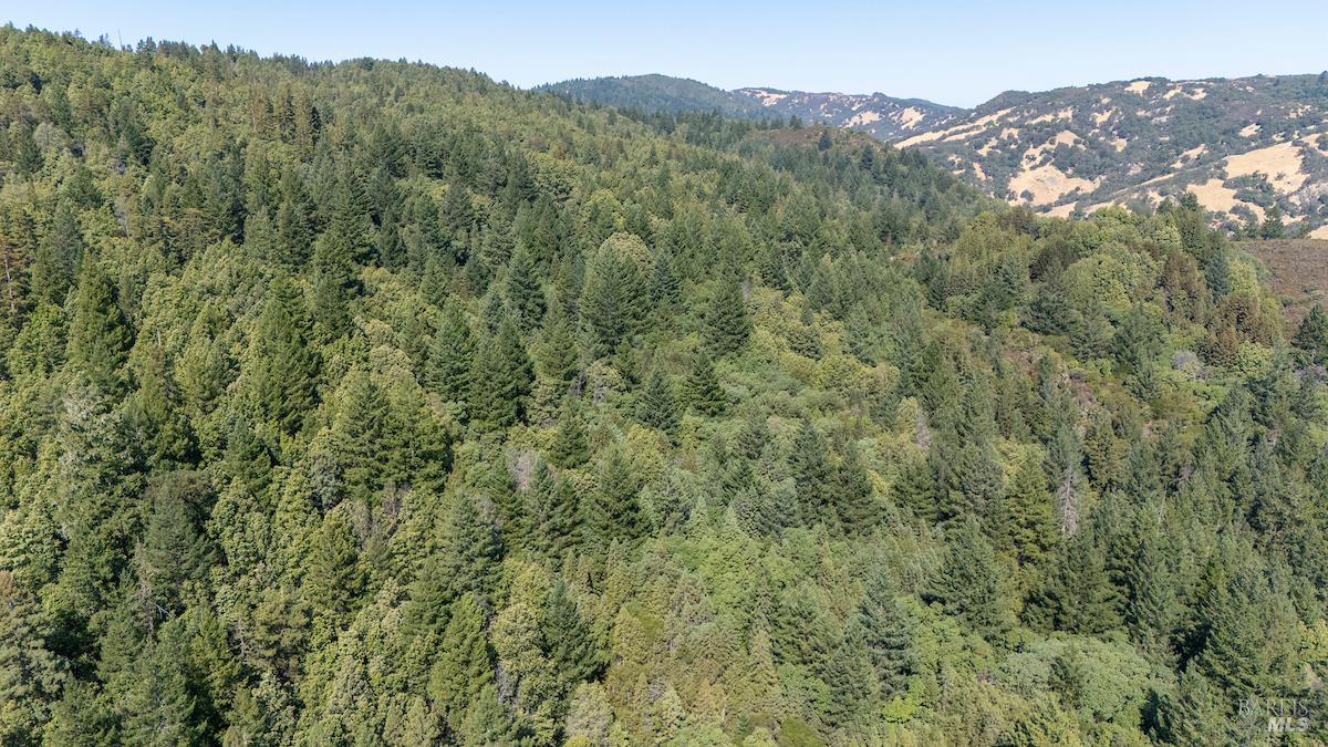 Detail Gallery Image 8 of 63 For 30401 Hwy 128 Hwy, Yorkville,  CA 95494 - – Beds | – Baths