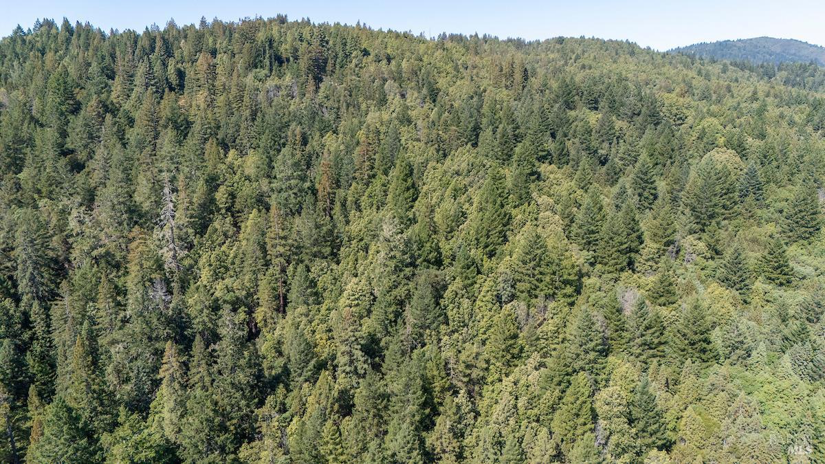 Detail Gallery Image 9 of 63 For 30401 Hwy 128 Hwy, Yorkville,  CA 95494 - – Beds | – Baths