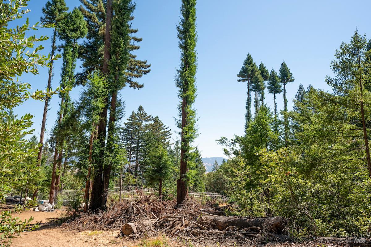 Detail Gallery Image 47 of 63 For 30401 Hwy 128 Hwy, Yorkville,  CA 95494 - – Beds | – Baths