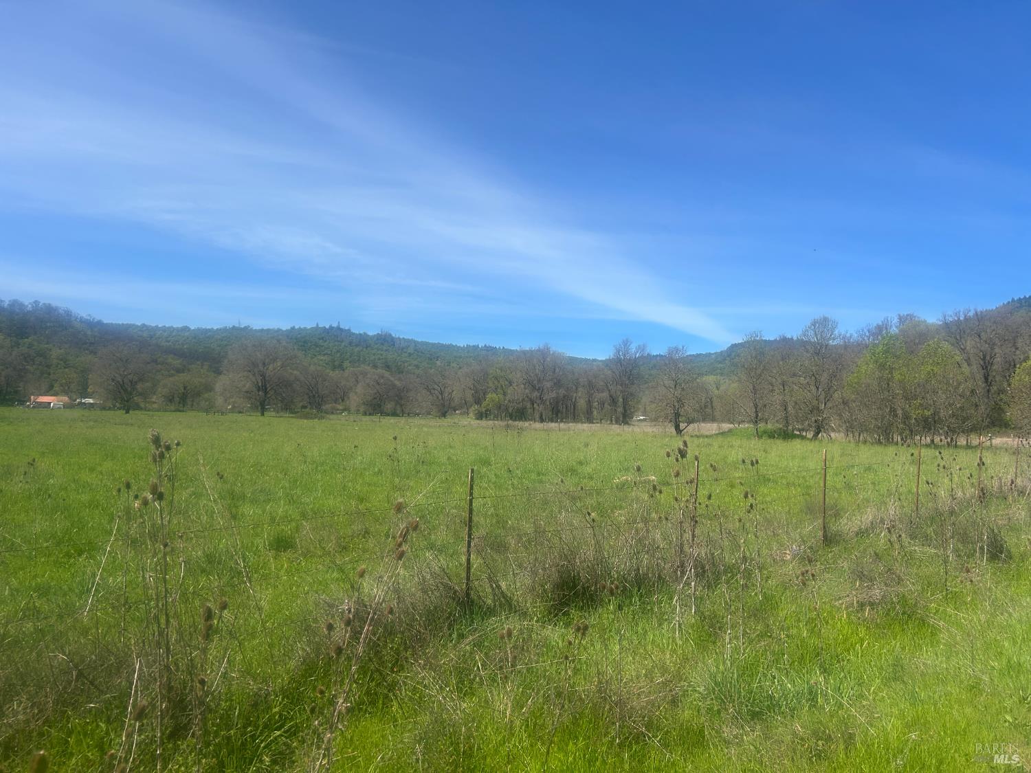 Detail Gallery Image 11 of 14 For 0 Zenia Rd, Covelo,  CA 95428 - – Beds | – Baths